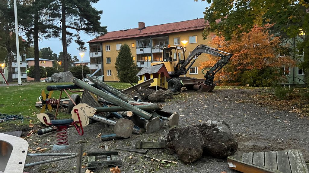 bild med rivna lekredskap